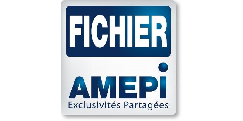 Logo AMEPI