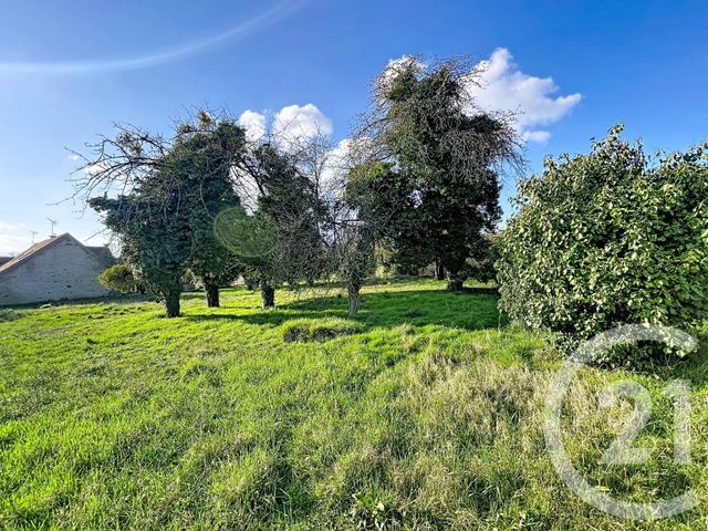 terrain à vendre - 1504.0 m2 - LA GRANDE PAROISSE - 77 - ILE-DE-FRANCE - Century 21 Martinot Immobilier